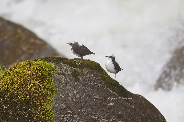two on one rock