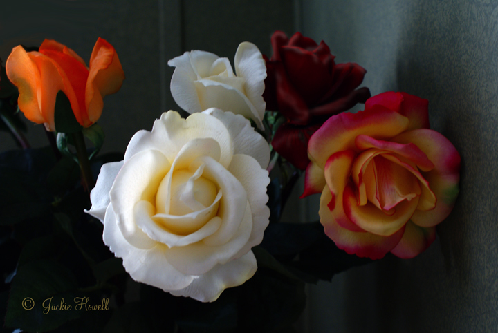 WC# 443  Roses Are Forever