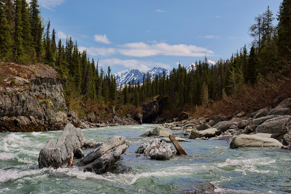 Tsaina River Scenery #2