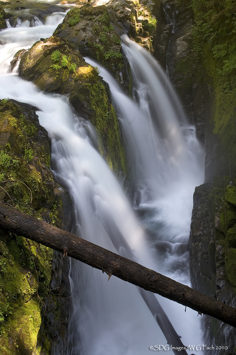 Sol Duc Frustration