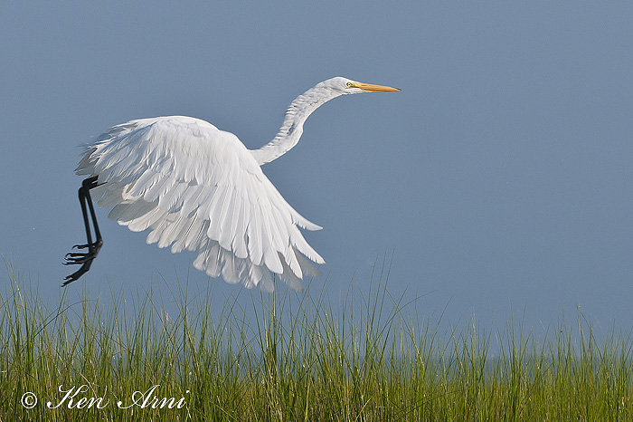 Taking off