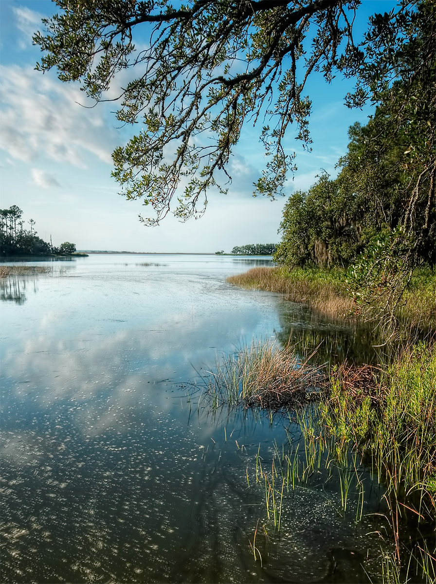 Coastal Reflections