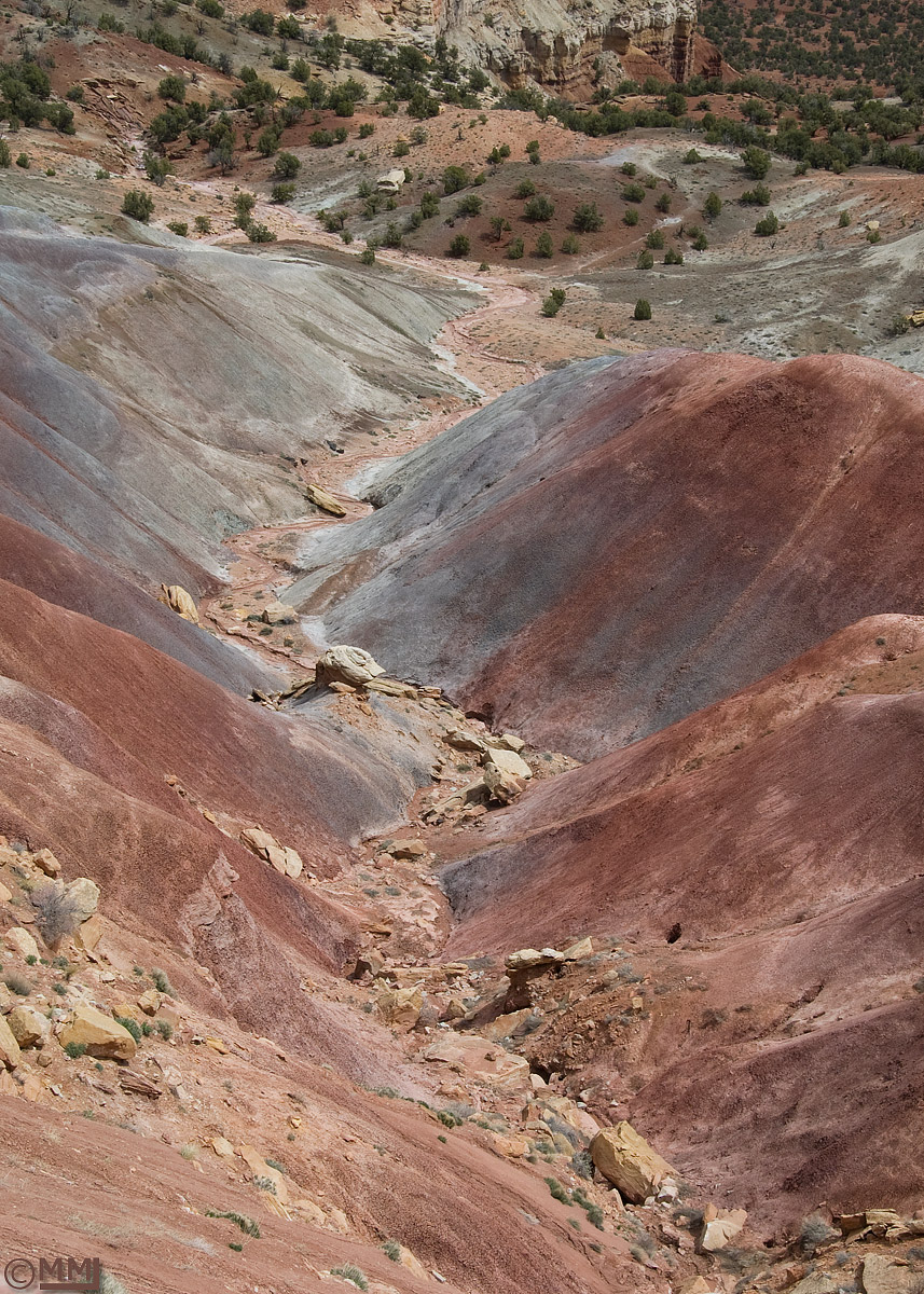 WC444 Burr Trail