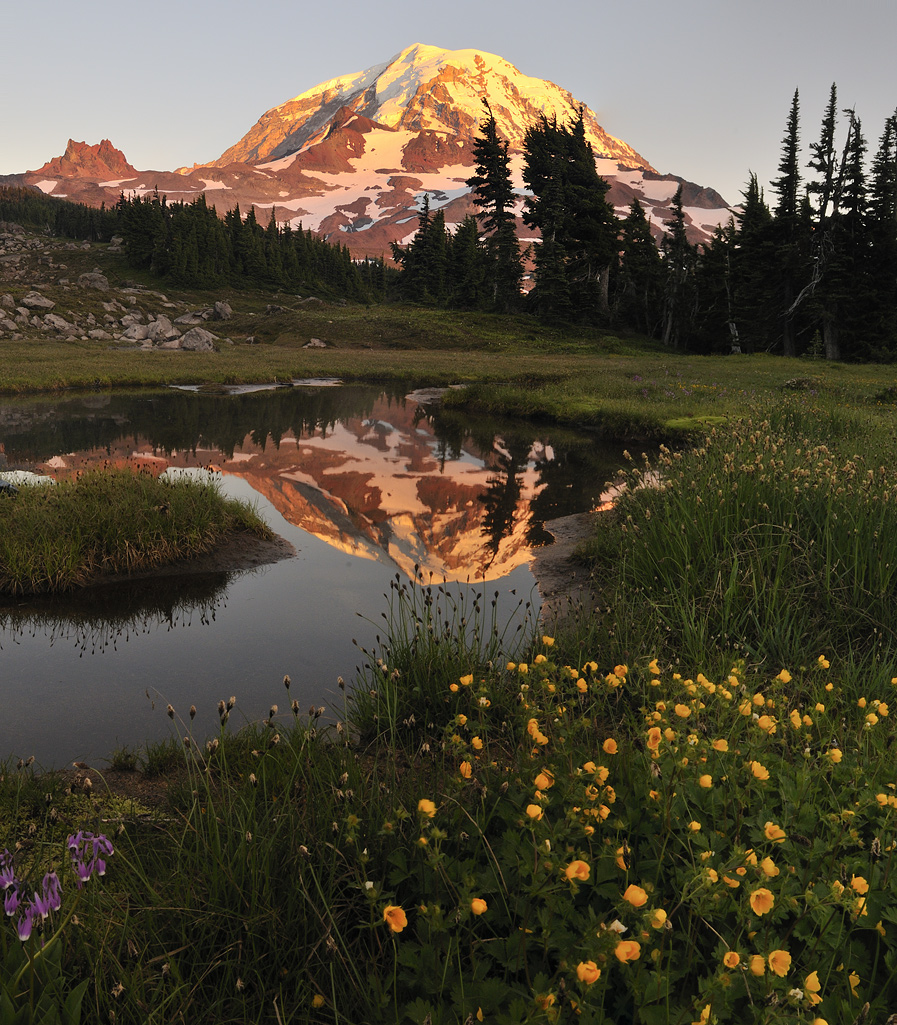 Spray Park Mt Rainier