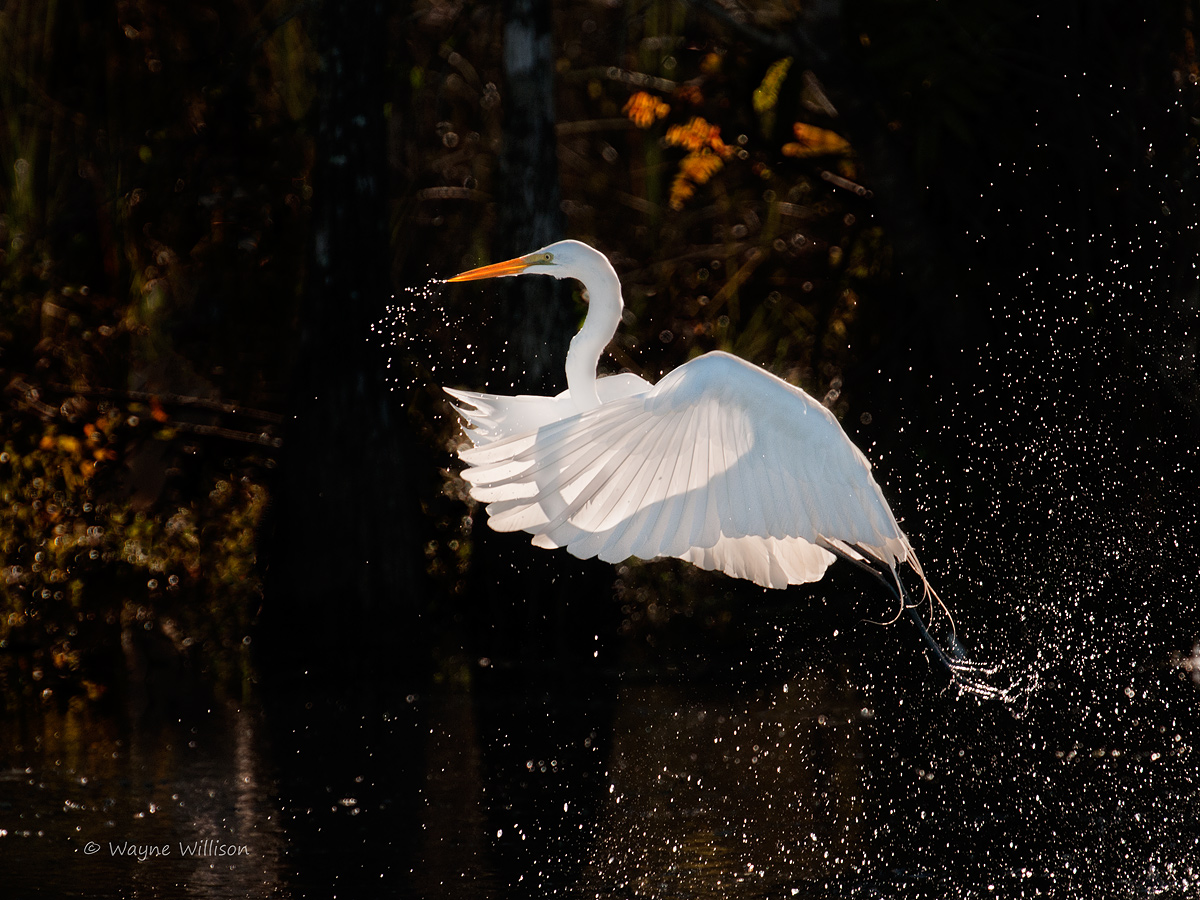 Takeoff