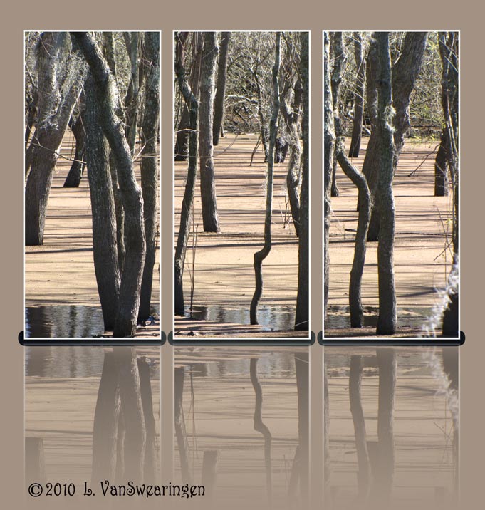 Swamp Layers
