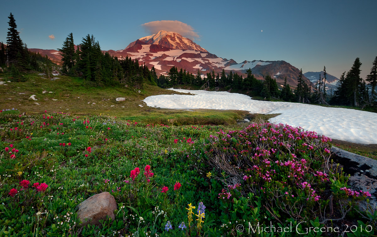 Alpine Garden + Repost  x 2