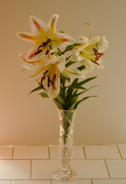 Lilies in a vase