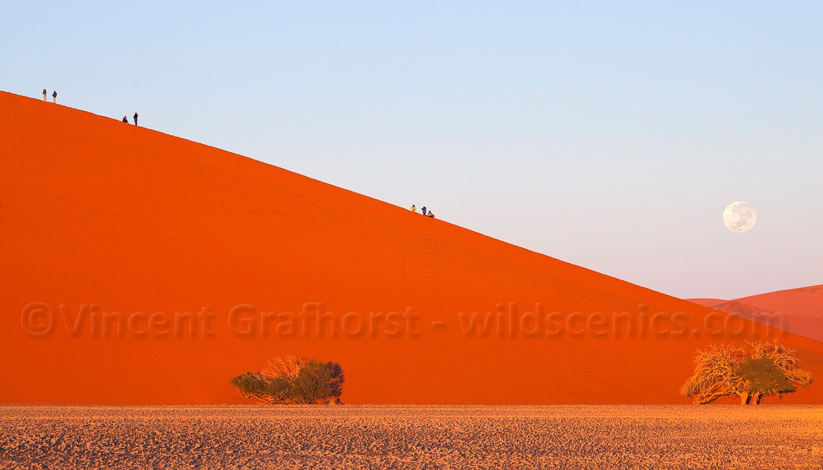 Dune 45 moonset 