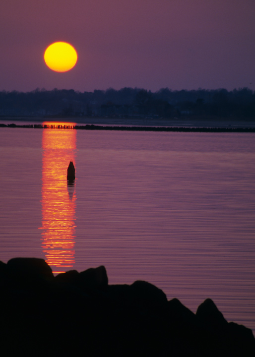 New Haven Harbor