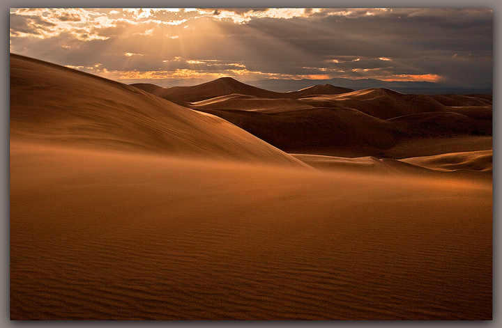 Lord of the Dunes
