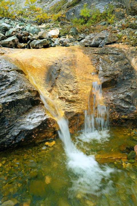 Gulch Trickle