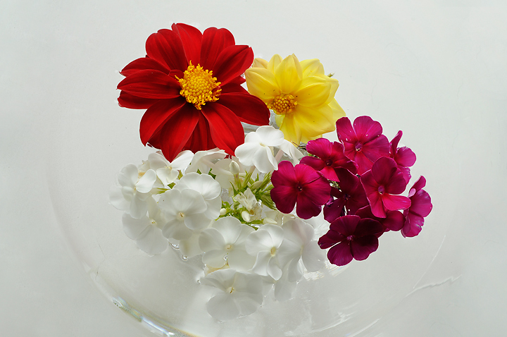 Floating Flowers