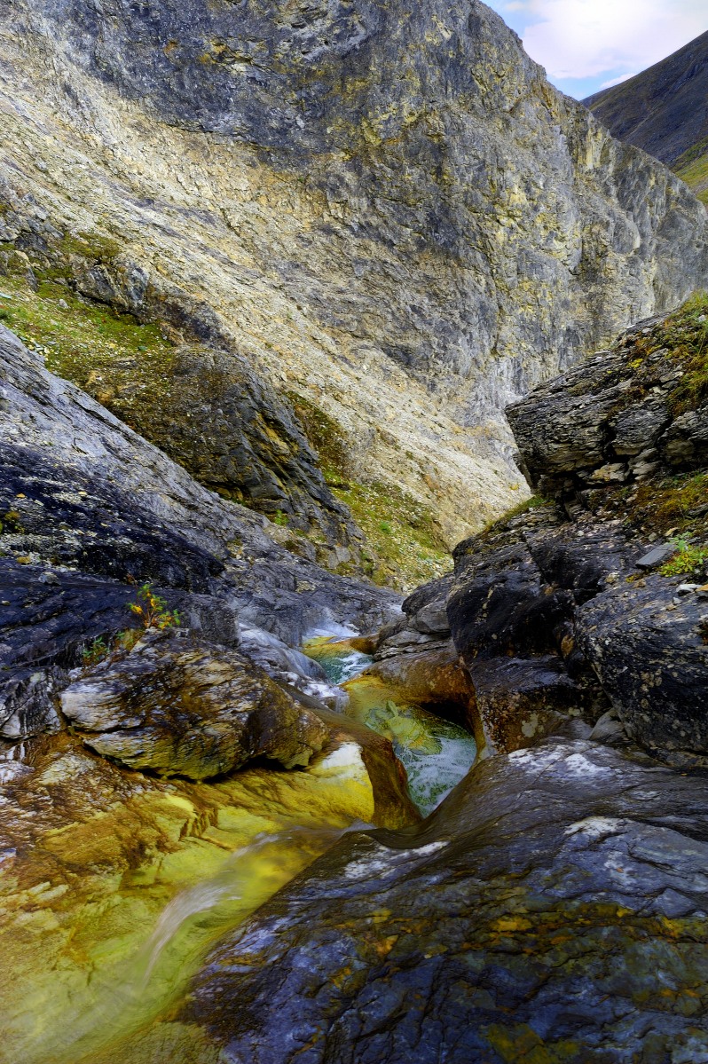 Yellow Water