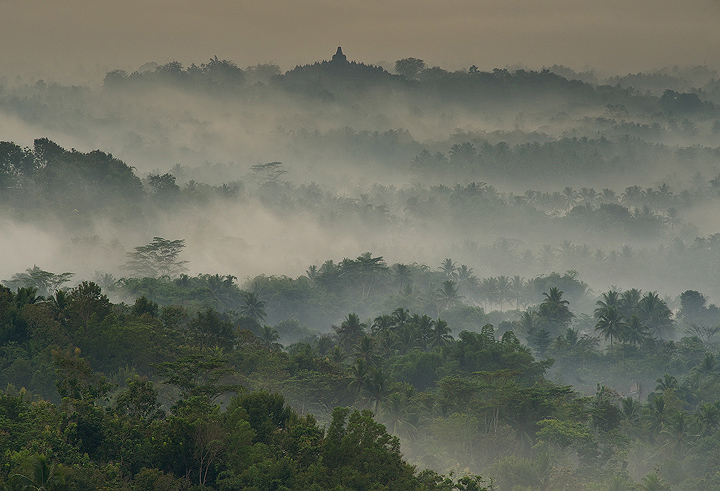 Above the mist