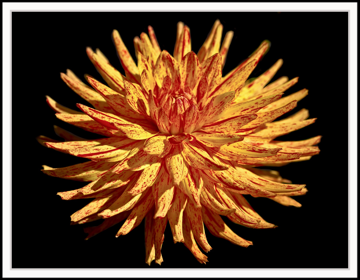 Fiery Sunburst