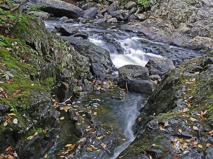 Christine Falls
