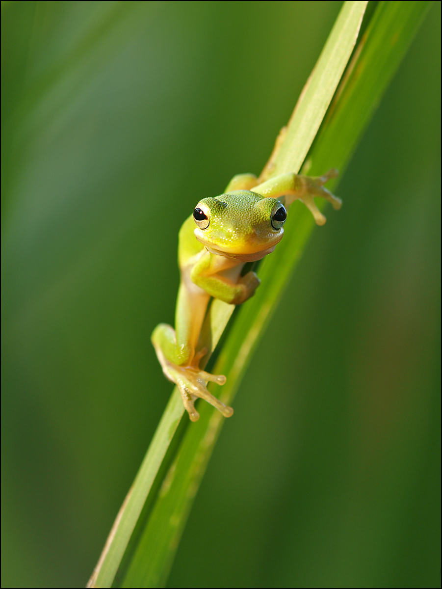 Here's Lookin at You Kid