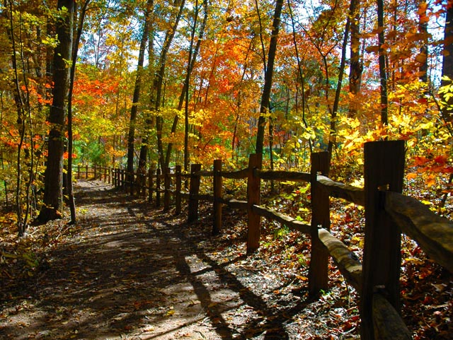 On the Trail