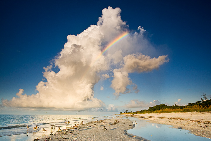 Morning Rainbow