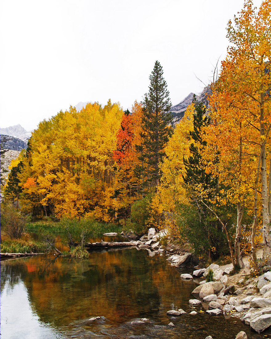 Wstrn Fall Color & repost