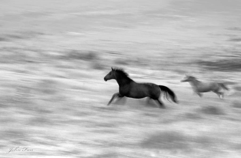 Freedom