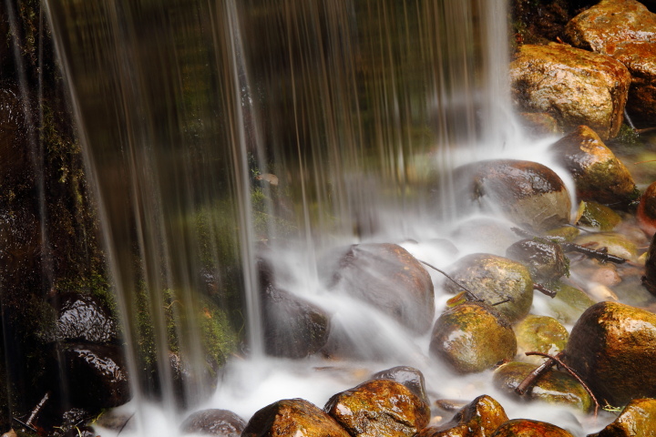 Iargo Springs