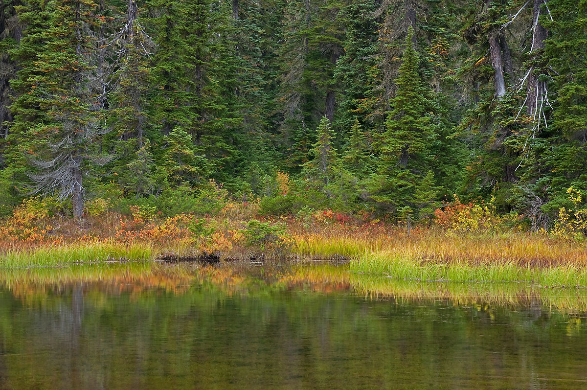 Rainy Pass Color
