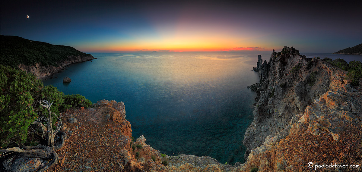Nest with a view