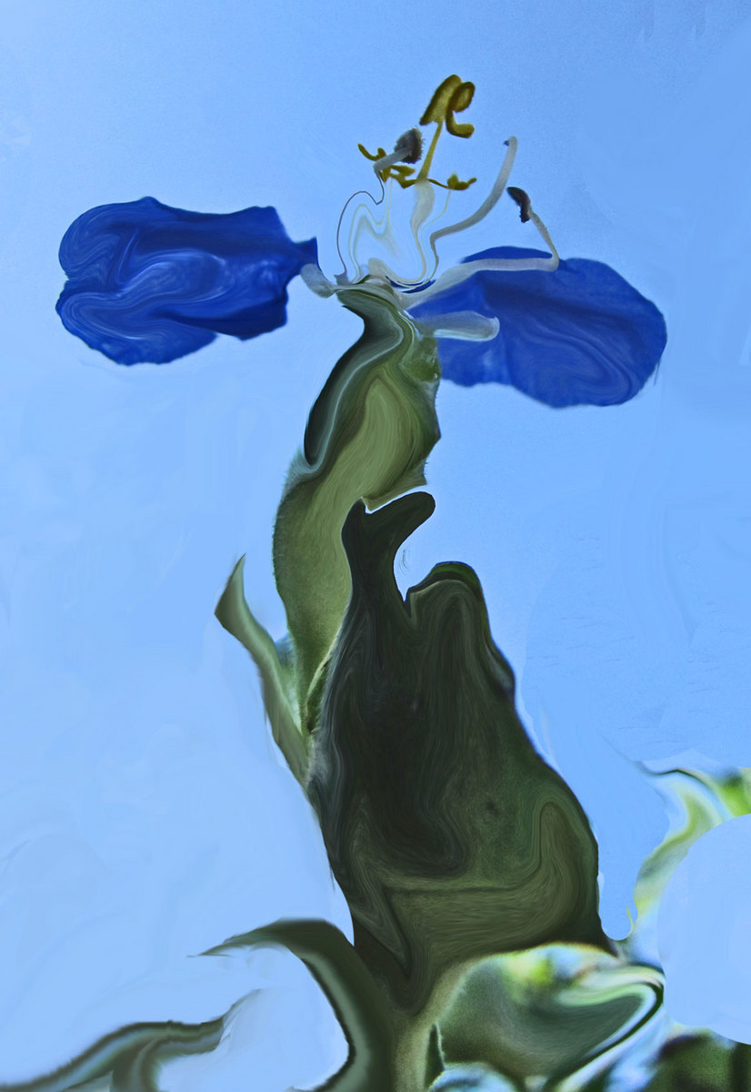 Blue Angel