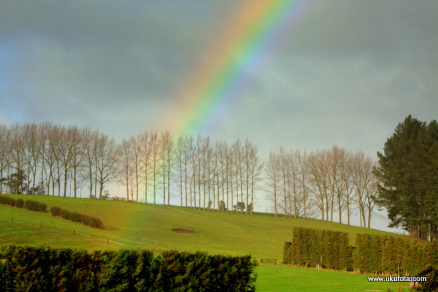 Rainbow in the fields