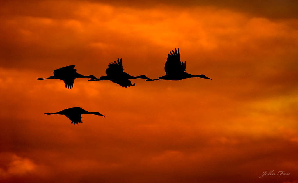 Family Heading Home