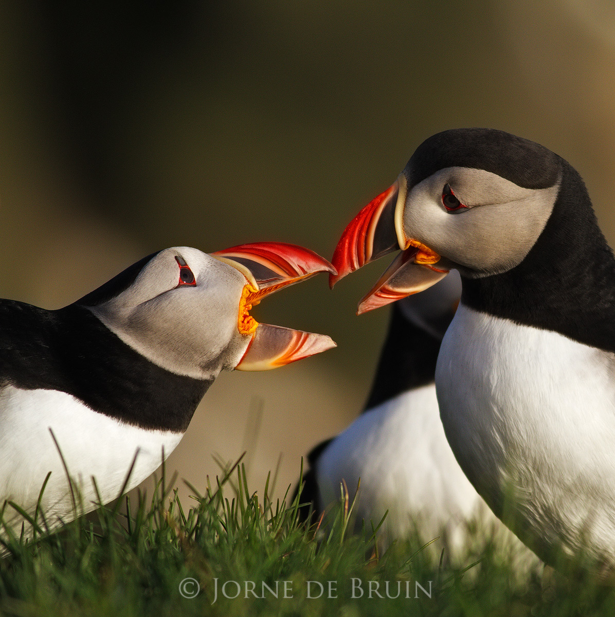 A Disagreement