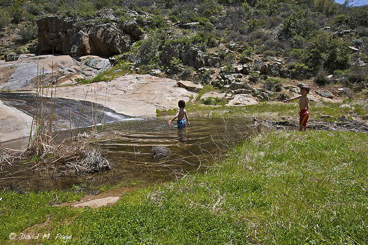 Swimming Hole