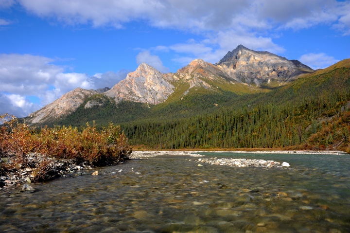 Matthews River Majesty