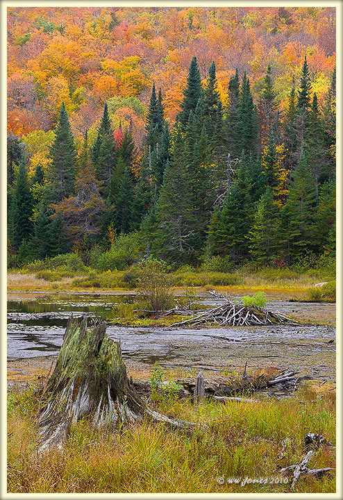 More from the Beaver Vly