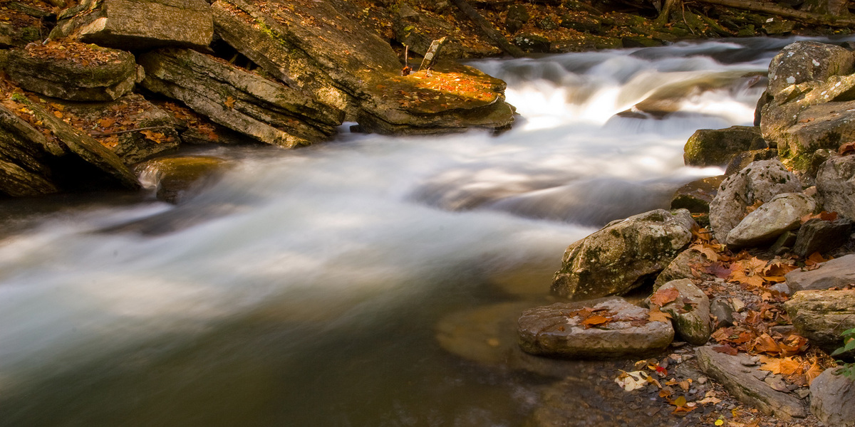 Below the Falls