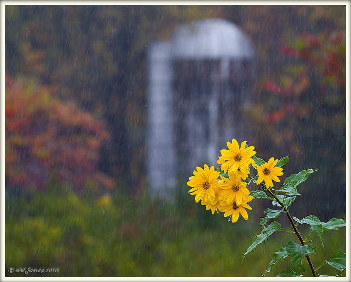 Autunm Rain