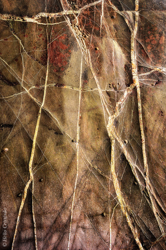 Nature Art