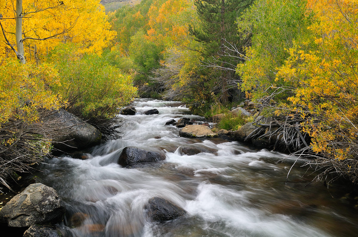 Along the South Fork