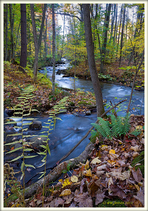 Blue Creeks… TOO  Blue?