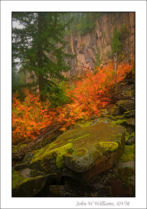 Rainy Slag [+edit]