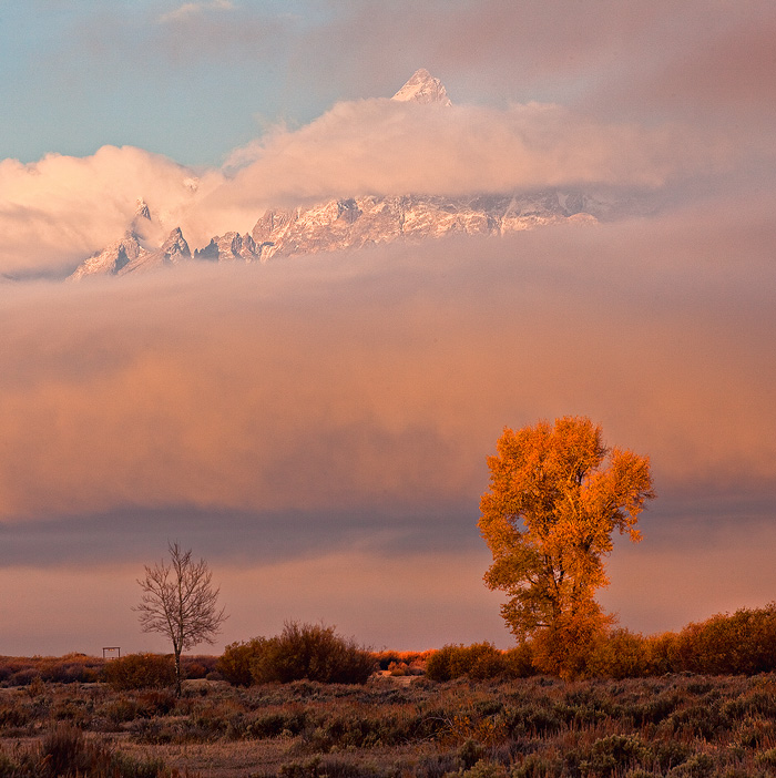 Grand Teton Revealed