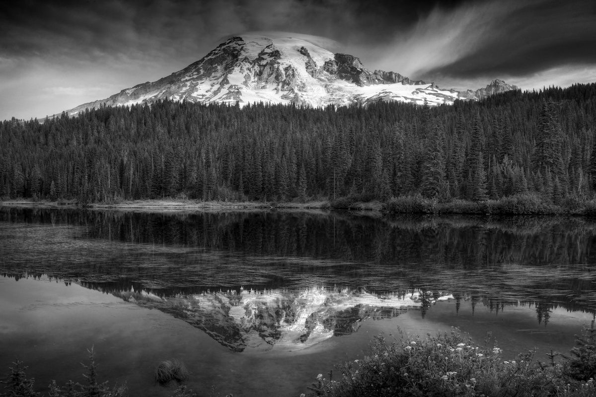 Rainer