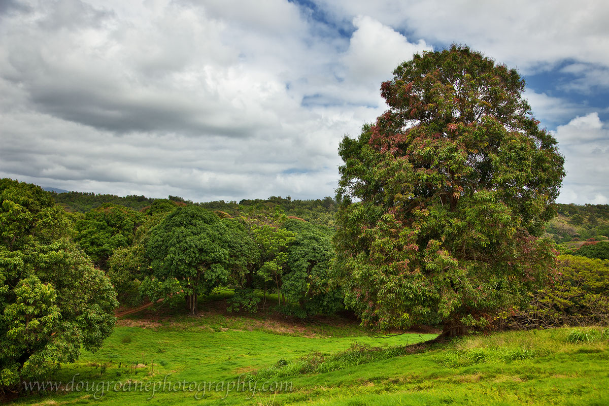South Kaua'i Ranchland
