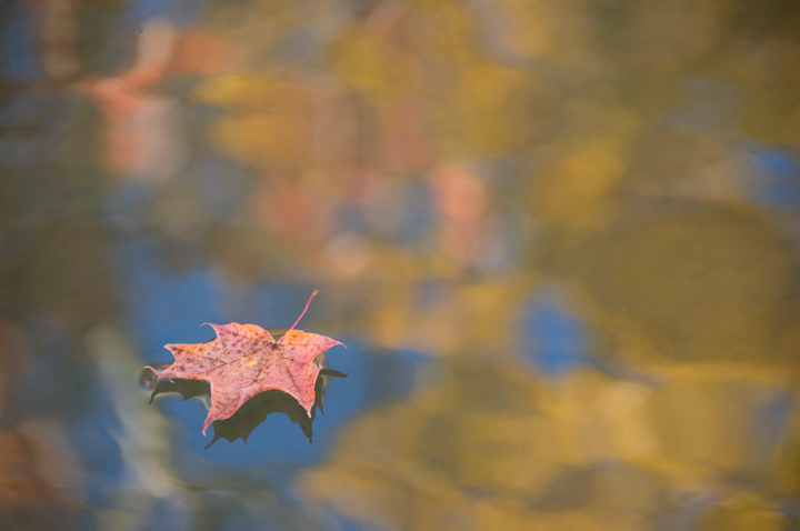 fall reflections-2