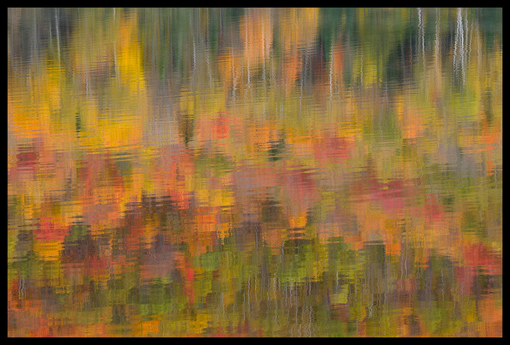 Autumn Ripples