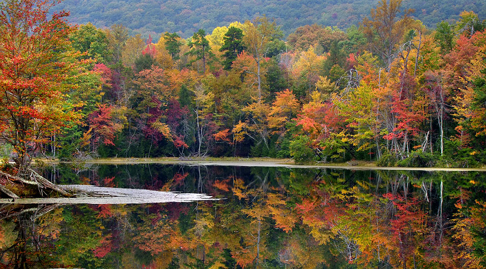 Fall Colors & Reflection