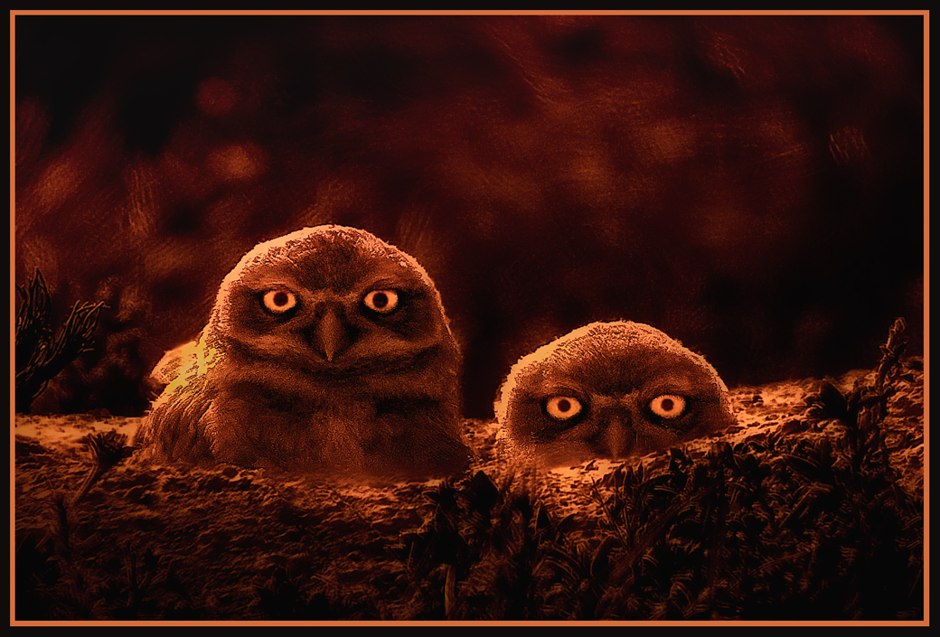 Boo!
