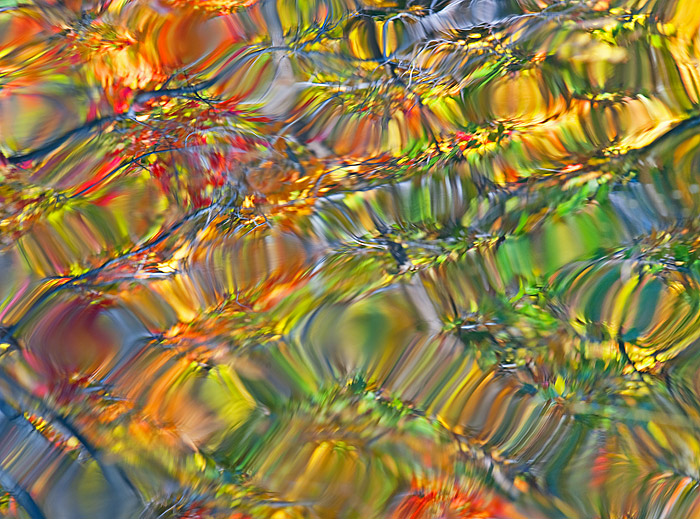 Another Abstract.